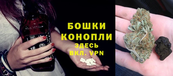прущие грибы Аркадак
