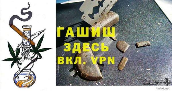 сатива Армянск