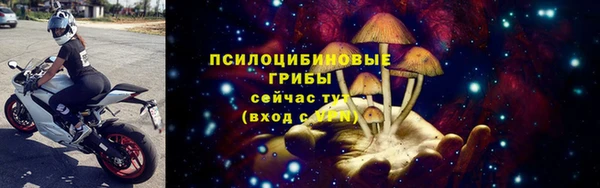 сатива Армянск