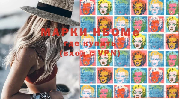 прущие грибы Аркадак