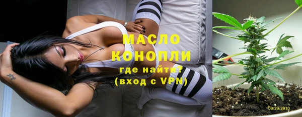 прущие грибы Аркадак