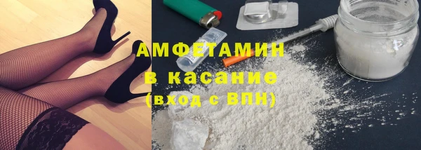 прущие грибы Аркадак